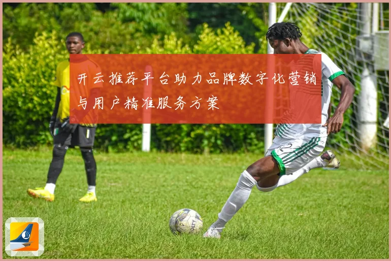 开云推荐平台助力品牌数字化营销与用户精准服务方案