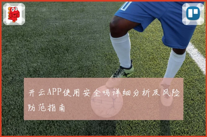 开云APP使用安全吗详细分析及风险防范指南