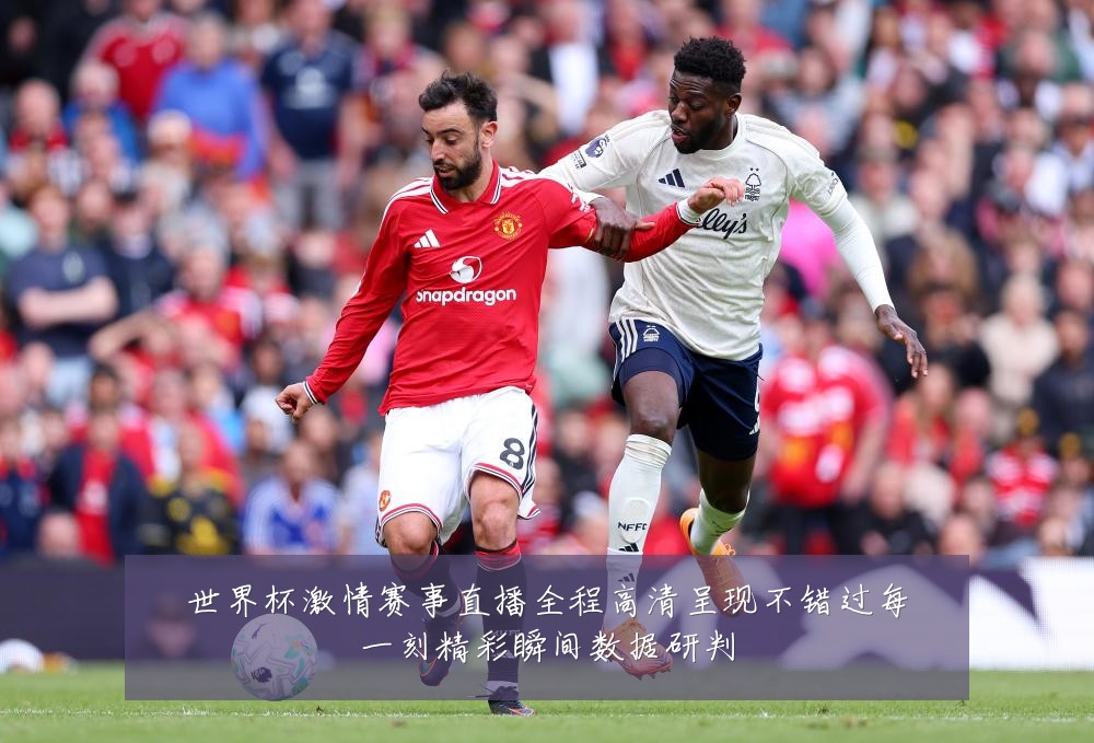世界杯激情赛事直播全程高清呈现不错过每一刻精彩瞬间数据研判